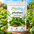 بذور السبانخ للزراعة المنزلية | Plentra Spinach Seeds