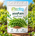بذور الجرجير للزراعة المنزلية | Plentra Arugula Seeds