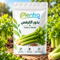 بذور الكرفس للزراعة المنزلية | Plentra Celery Seeds