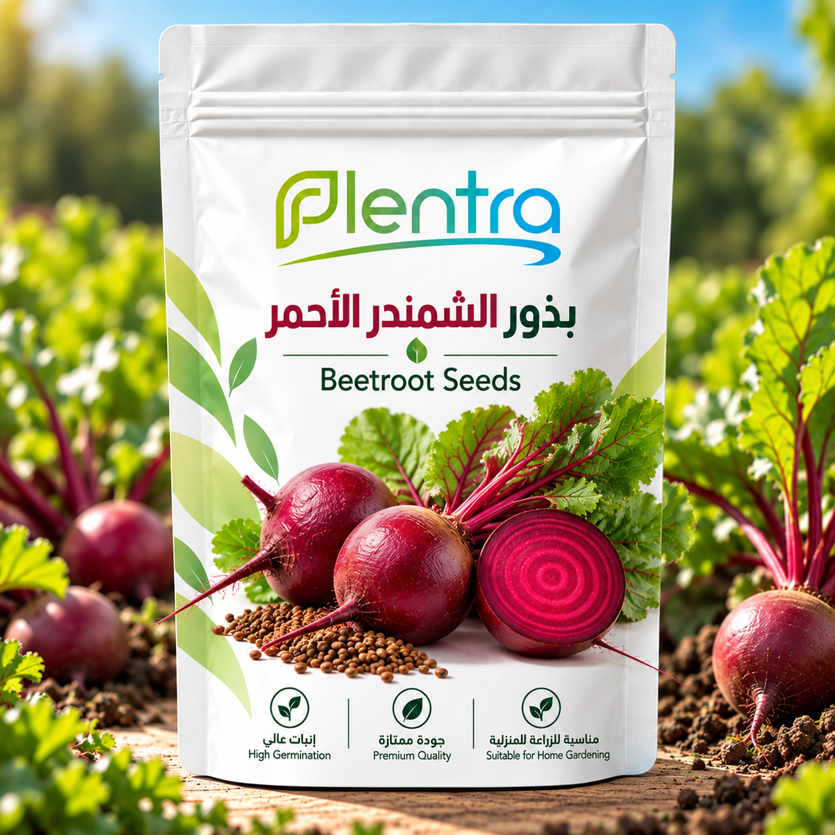بذور الشمندر الأحمر | Beetroot Seeds
