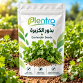 🌿 بذور الكزبرة | Plentra Coriander Seeds